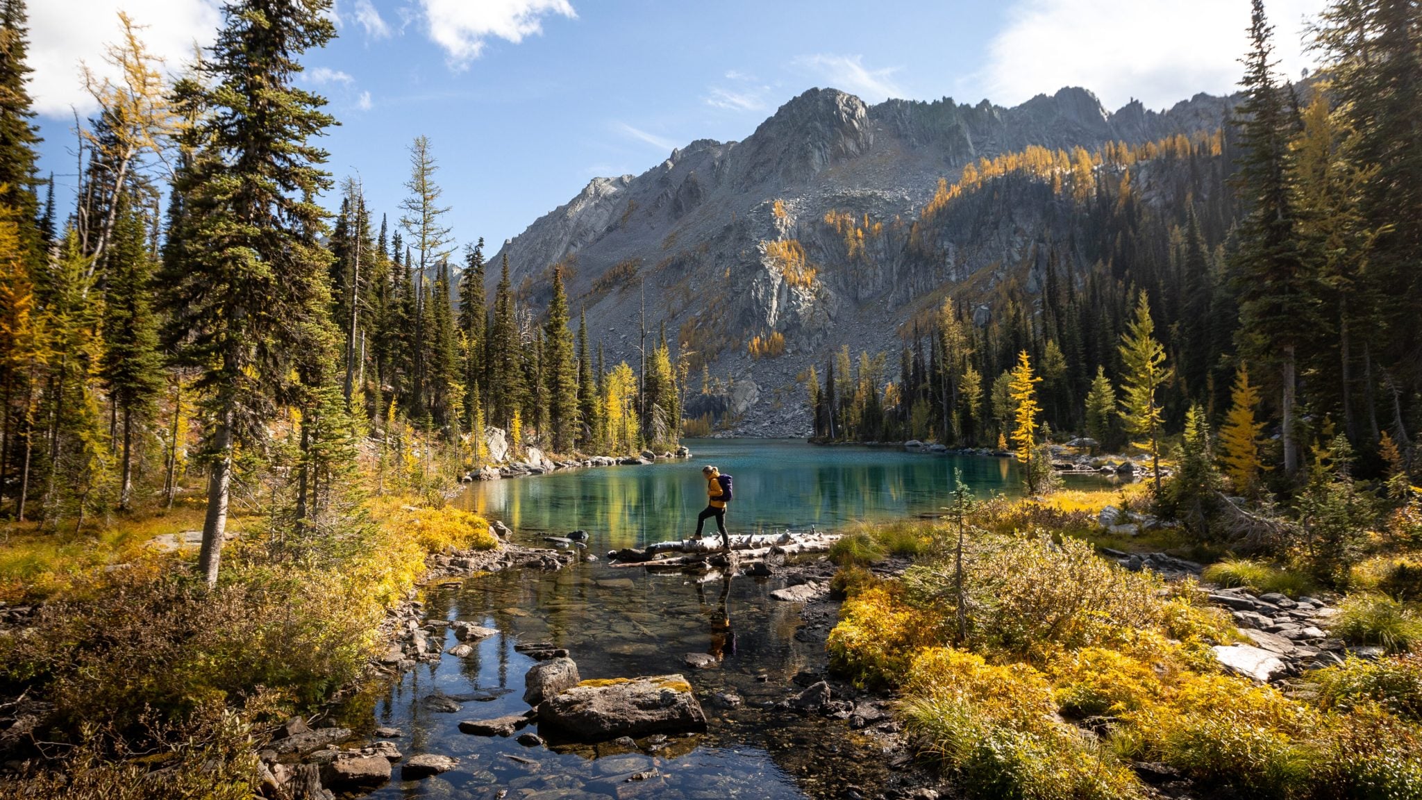 Tanglefoot Lake