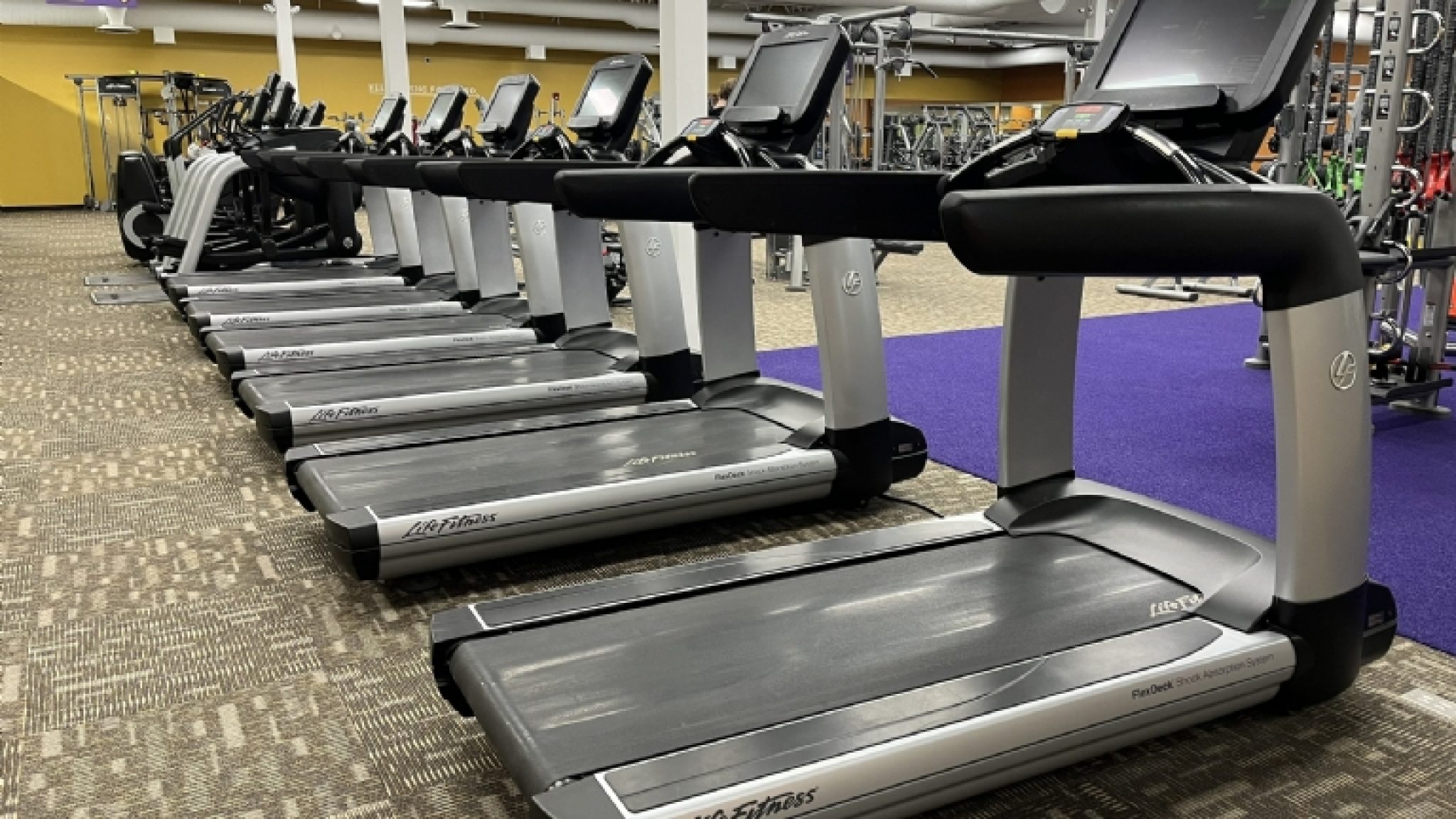 Cardio3-md