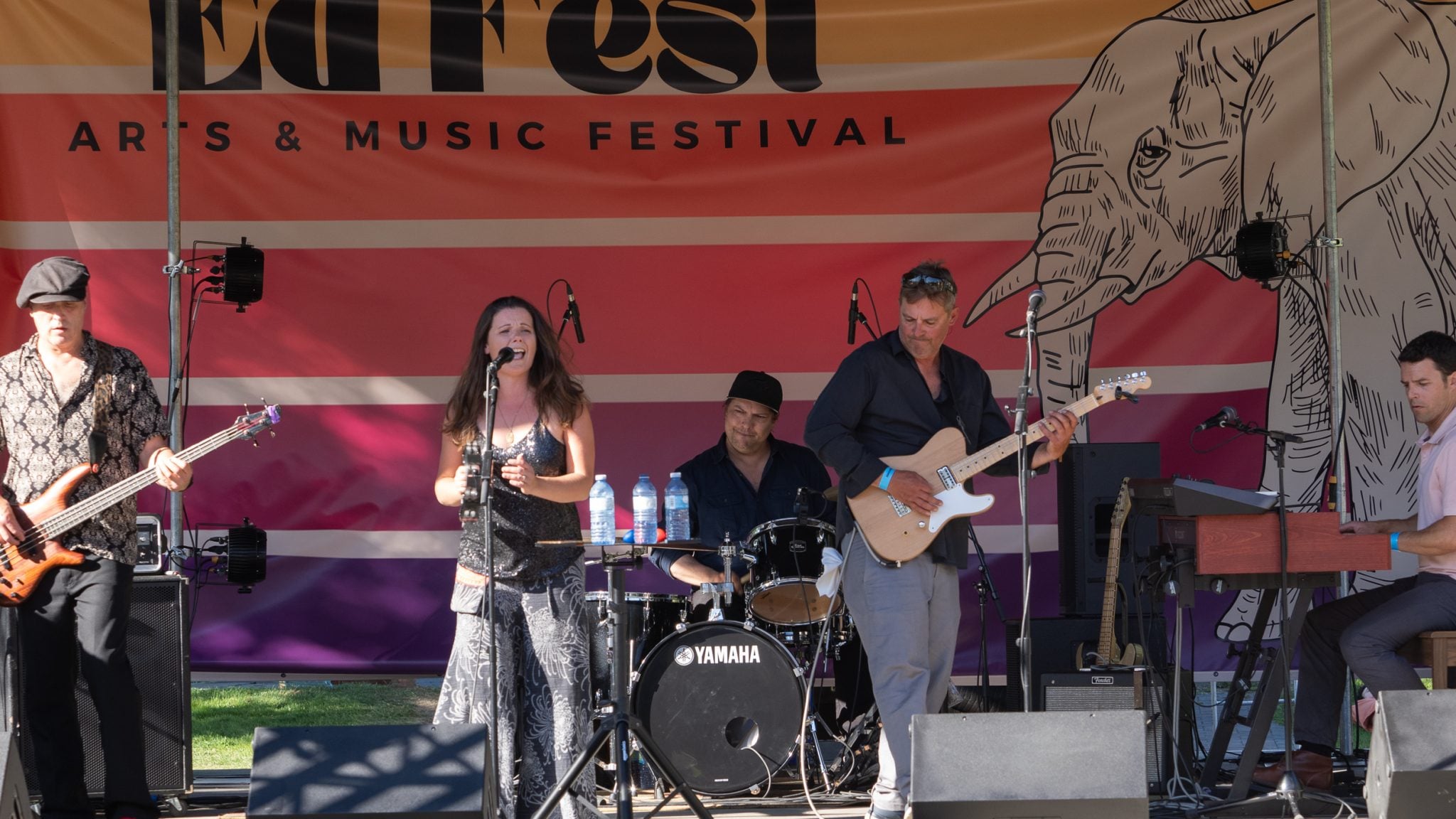 Ed Fest-9090405