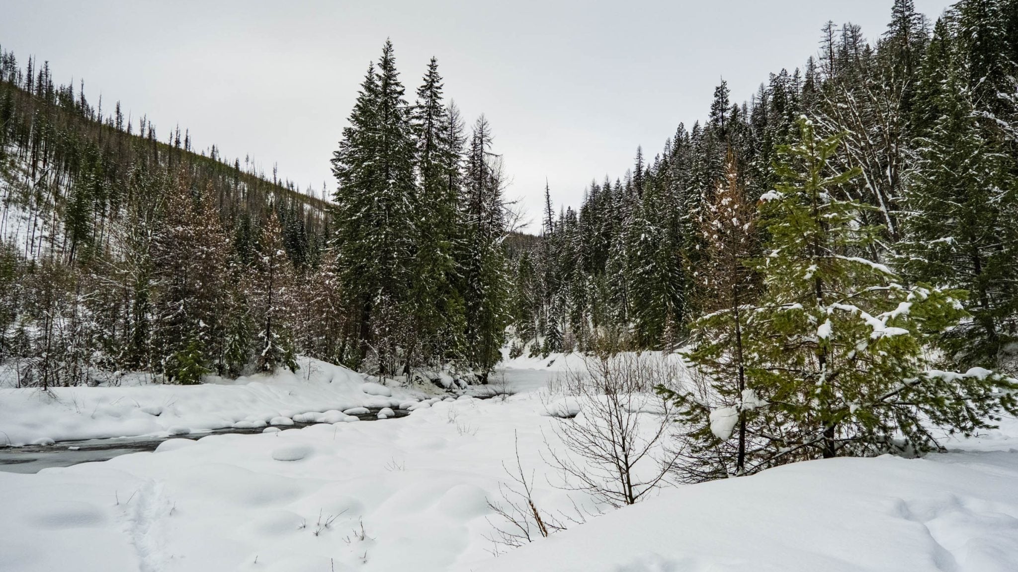 Location Scout - Moyie Lumberton Falls 122822 WEB-4