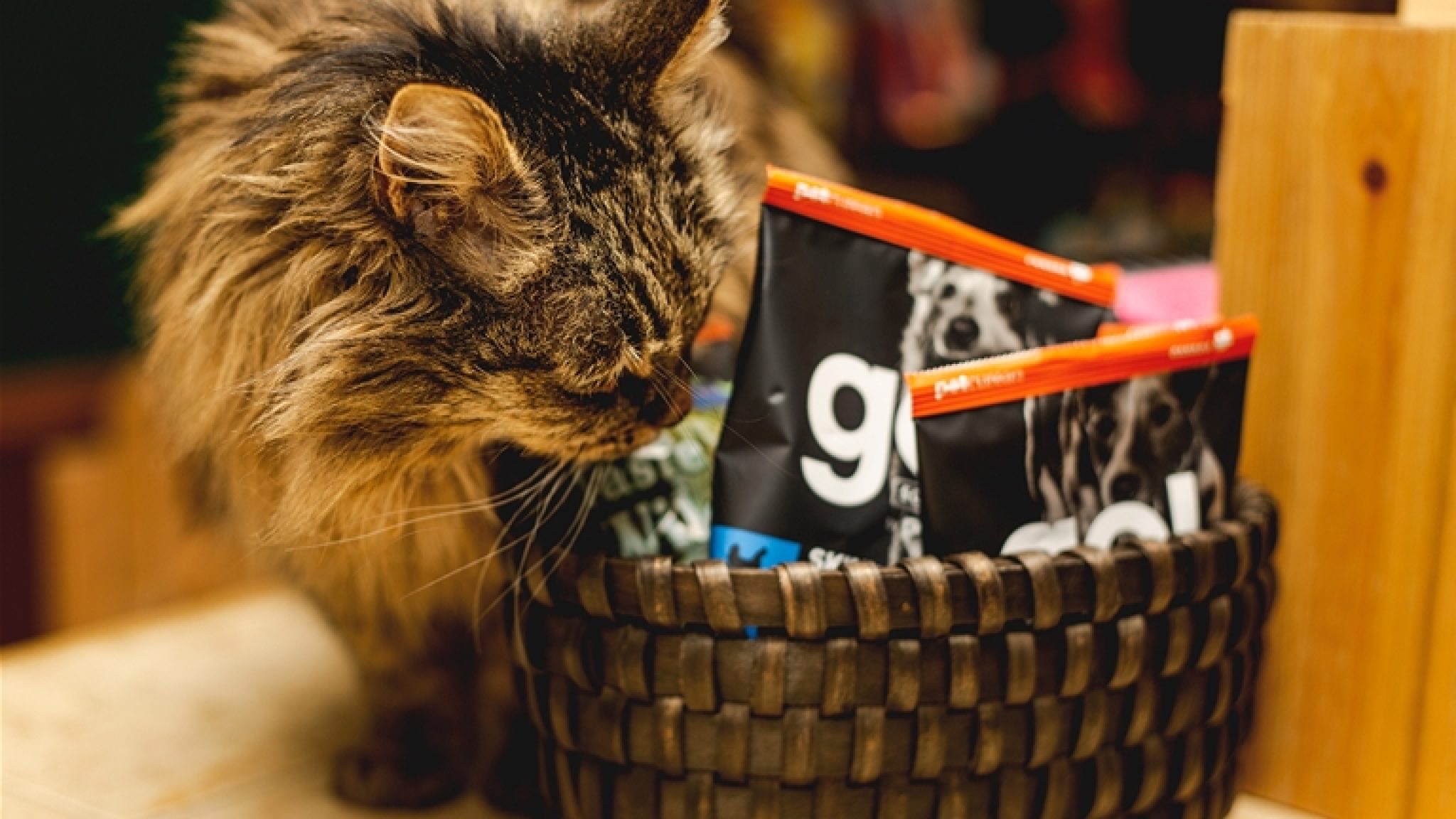The Paw Shop